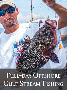 Outer Banks Full-day Offshore Gulf Stream Fishing