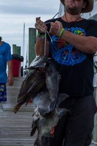 outer-banks-gulf-stream-offshore-fishing